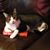 Karen Luhring's profile image