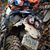 Bill DeVore's profile image