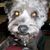 Janie Beard Arnold's profile image