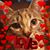 Carrie Hove Stephens's profile image