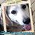 Lisa Haydel's profile image