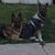 Tracy Schuster's profile image