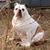 Matt Hammill's profile image