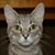 Darla Kaye Liles's profile image
