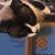 Bethamy Spires Barringer's profile image