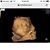 Sherry Fleck's profile image