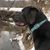 Scott N Tara Smith's profile image
