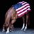 Laina Lee Hicks's profile image