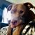 Sue Weber- Angarola's profile image