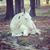 Amanda Wanner's profile image
