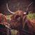 Joann Kunsman's profile image