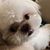 Sharon Anderson's profile image