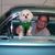 Neighbor Dave's profile image