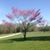 Rachelle Stepp-Hensley's profile image