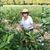 Paulette Allen Arnold's profile image