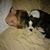 Tracie Leger's profile image