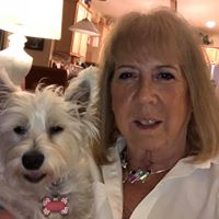 Cathy Reeves Steffen's profile image