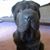 Holly Grow's profile image