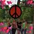 Kim Price Boudreaux's profile image