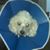 Bonny J Nowlin's profile image