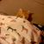 Nancy Greer's profile image