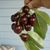 Susan DeCillis's profile image