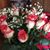 Irene Matson's profile image