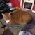 Stephanie Dulaney's profile image