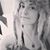 Kim Paugh's profile image