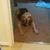 Dawn Frey's profile image
