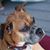 Melanie McKeever's profile image
