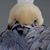 Izabela Perry's profile image