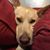 Tina Embrey's profile image