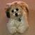 Sharon Edmunds's profile image