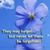 Deborah Blumberg's profile image