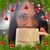 Michelle Mugge's profile image