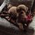 Sue Nabbefeld's profile image