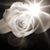 Carol Dobson's profile image