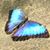 Grace McCormick's profile image
