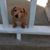 Patricia Phillips's profile image