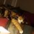 Barbara Karr Crevier's profile image
