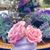 Reina Parada-Montes de Oca's profile image
