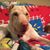 Dean Lockamy's profile image
