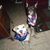 Debbie N Robert Early's profile image