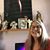 Deborah C. Mello's profile image