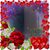 Theresa Martin's profile image