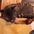 Paulette Hall's profile image
