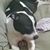 Sonia Contreras's profile image