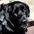 Dulce M Rendon Z's profile image