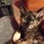 Linda Krolikowski's profile image